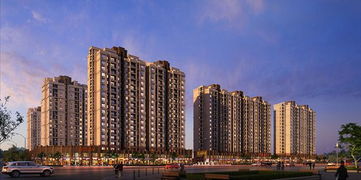 1 1 2 五大優(yōu)勢詮釋金鷹花園商鋪價值